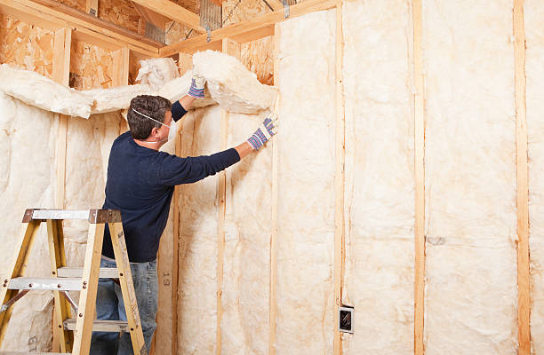 Best Radiant Barrier Insulation  in Syracuse, NE